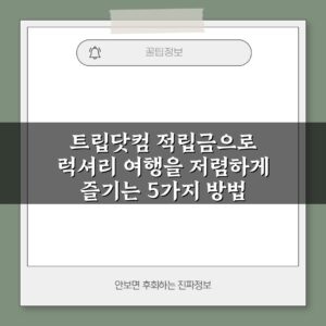 트립닷컴 적립금으로 럭셔리 여행을 저렴하게 즐기는 5가지 방법